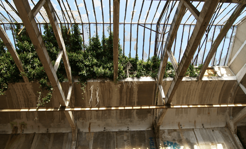 Réhabilitation d'une Halle FREYSSINET — vue 3
