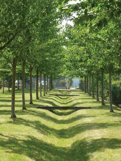 Résidentialisation – Paysage — vue 3